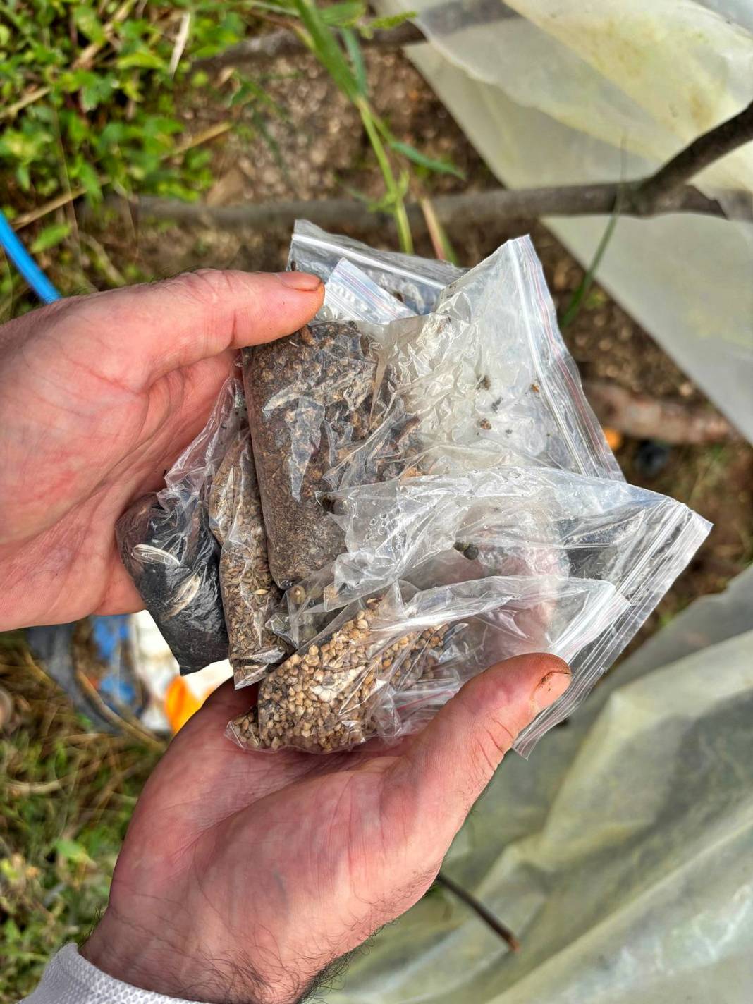 Balkonunda başladı, 150 bin tohumla Türkiye'yi değiştirdi! 2